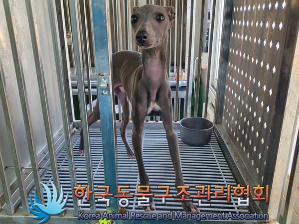 종료(자연사) 이탈…
