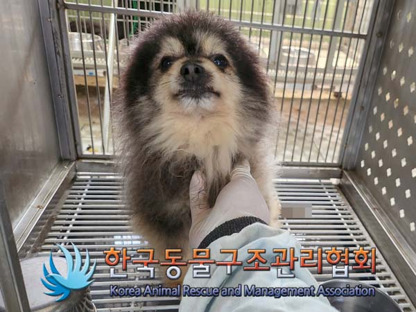 한국동물구조관리협회_441560202400484