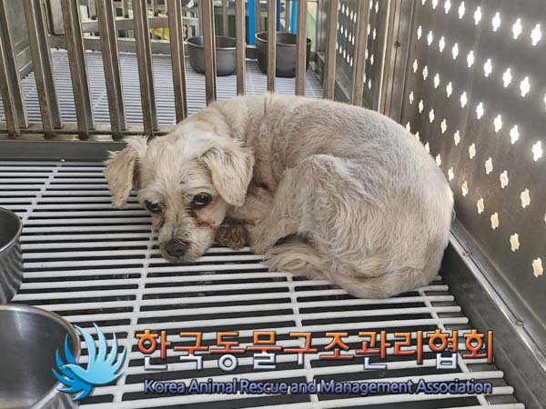 한국동물구조관리협회_441414202400282