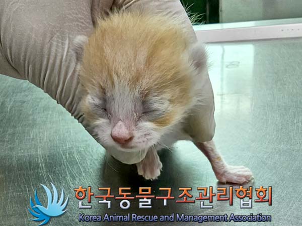 종료(자연사) 한국…