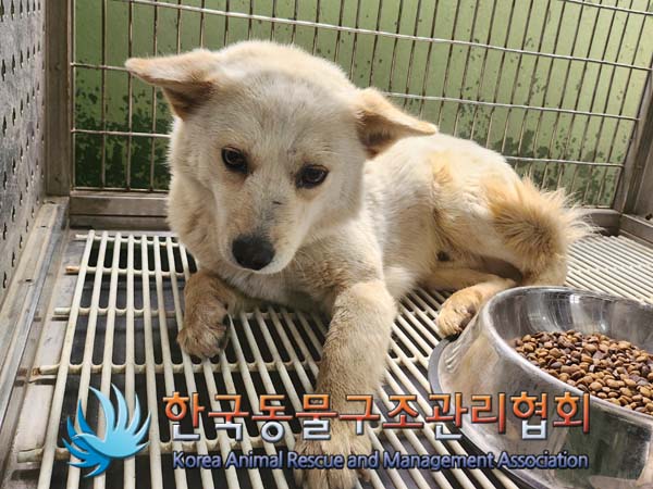한국동물구조관리협회_441560202400487