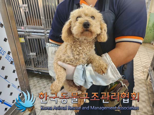 한국동물구조관리협회_441560202400485