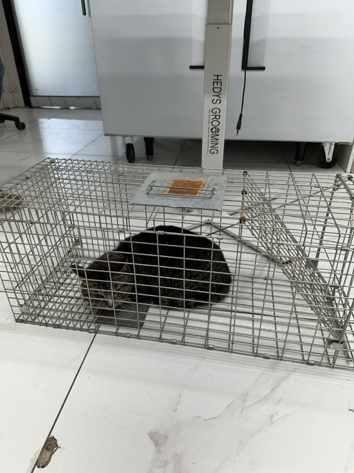 신공항동물병원_428349202400322