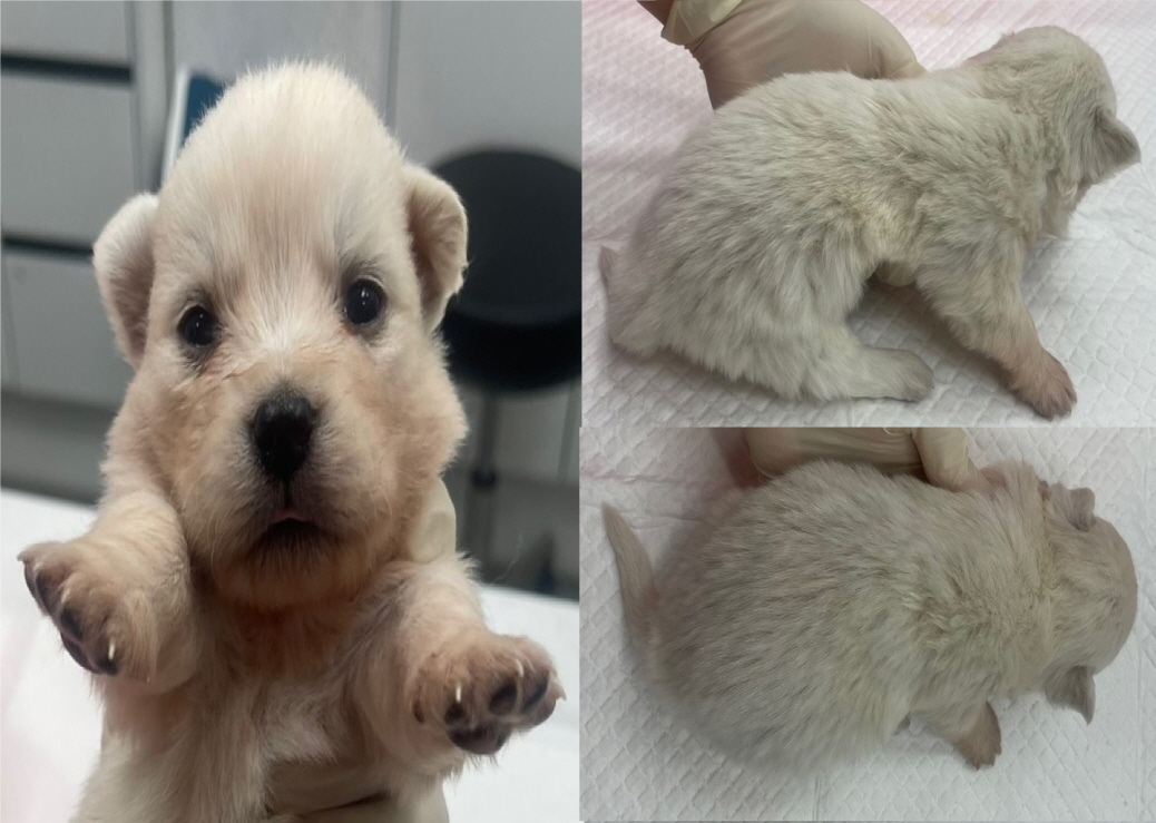서산시 동물보호센터_444453202400469