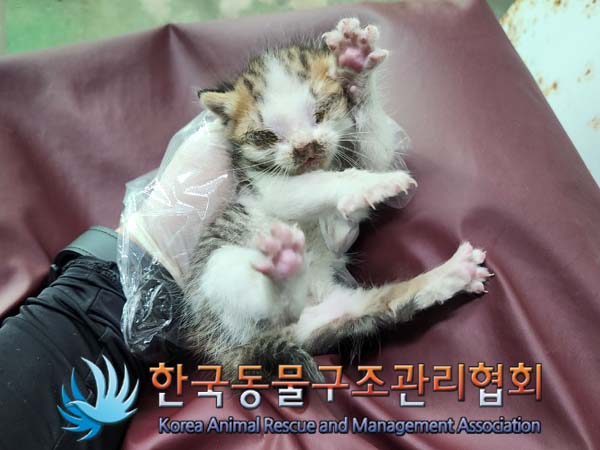 종료(자연사) 한국…