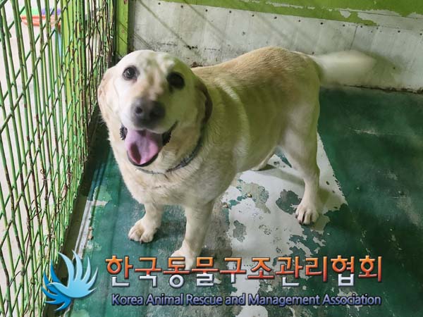 종료(반환) 골든 …