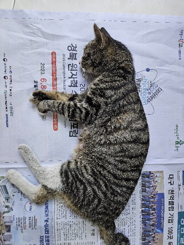 제니스동물병원_427346202400476