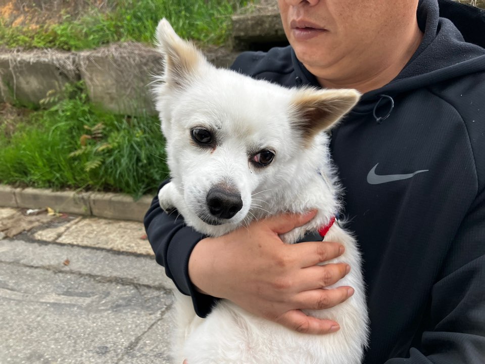 광주 동물보호소_429360202400316