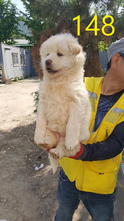 신영재동물병원_428355202400255