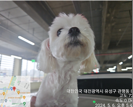 대전동물보호센터_430367202400327