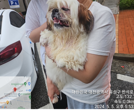 대전동물보호센터_430367202400326