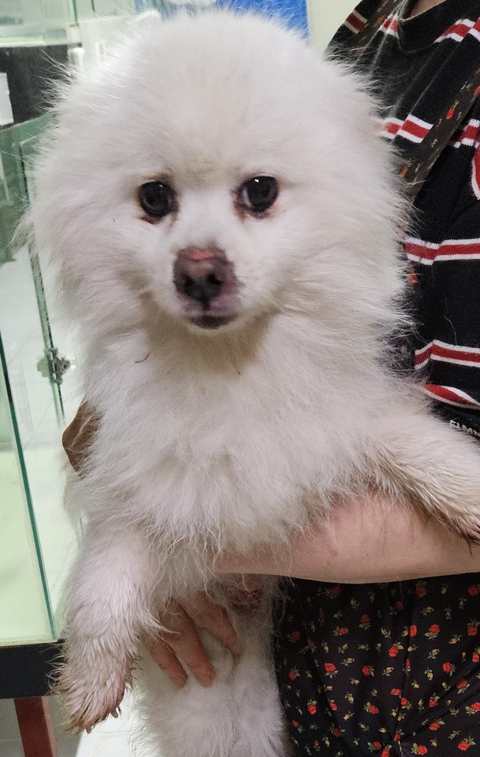 대구유기동물보호협회_427344202400140