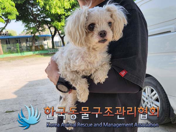 한국동물구조관리협회_411305202400260