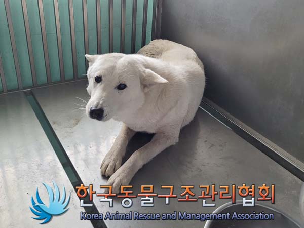 한국동물구조관리협회_441414202400295