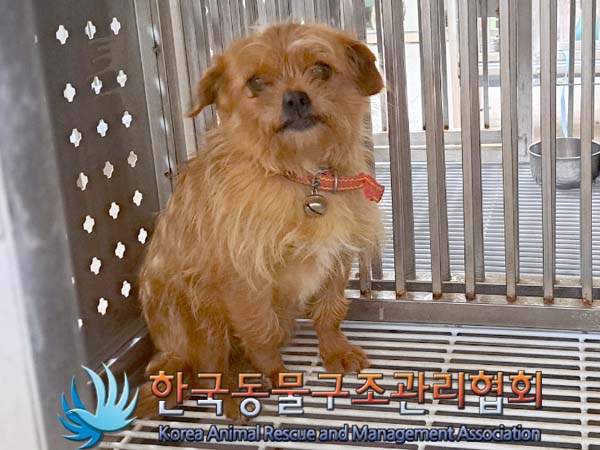 한국동물구조관리협회_441414202400298