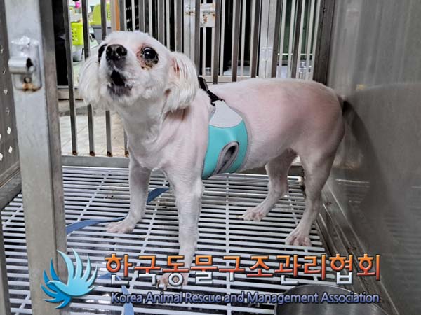 한국동물구조관리협회_411307202400222