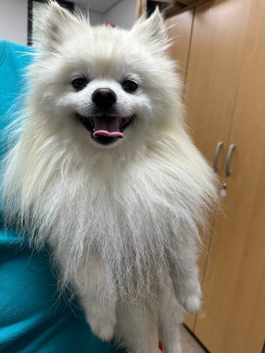 반려동물보호센터_443571202401492