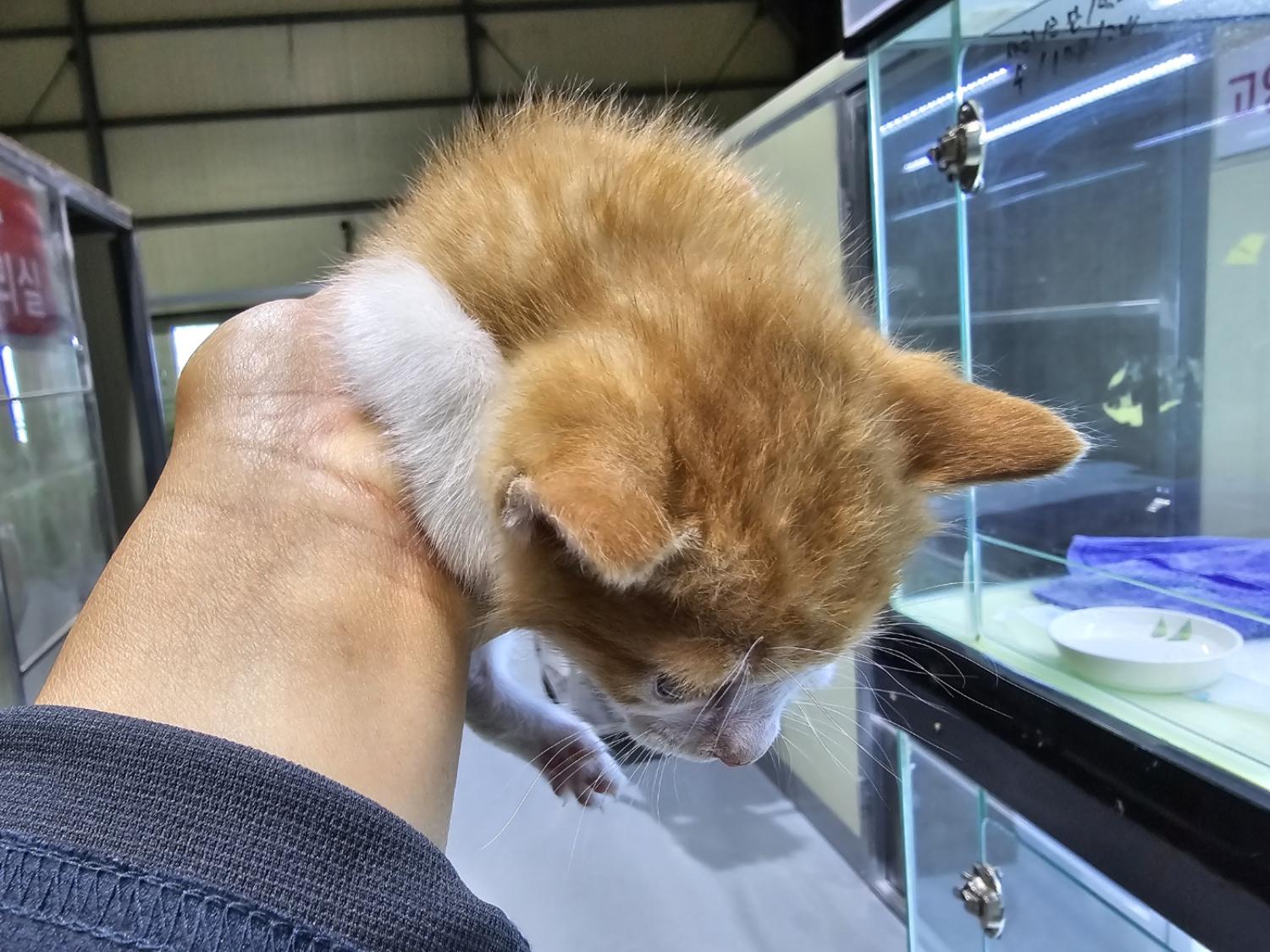 (사)하얀비둘기_426336202400148