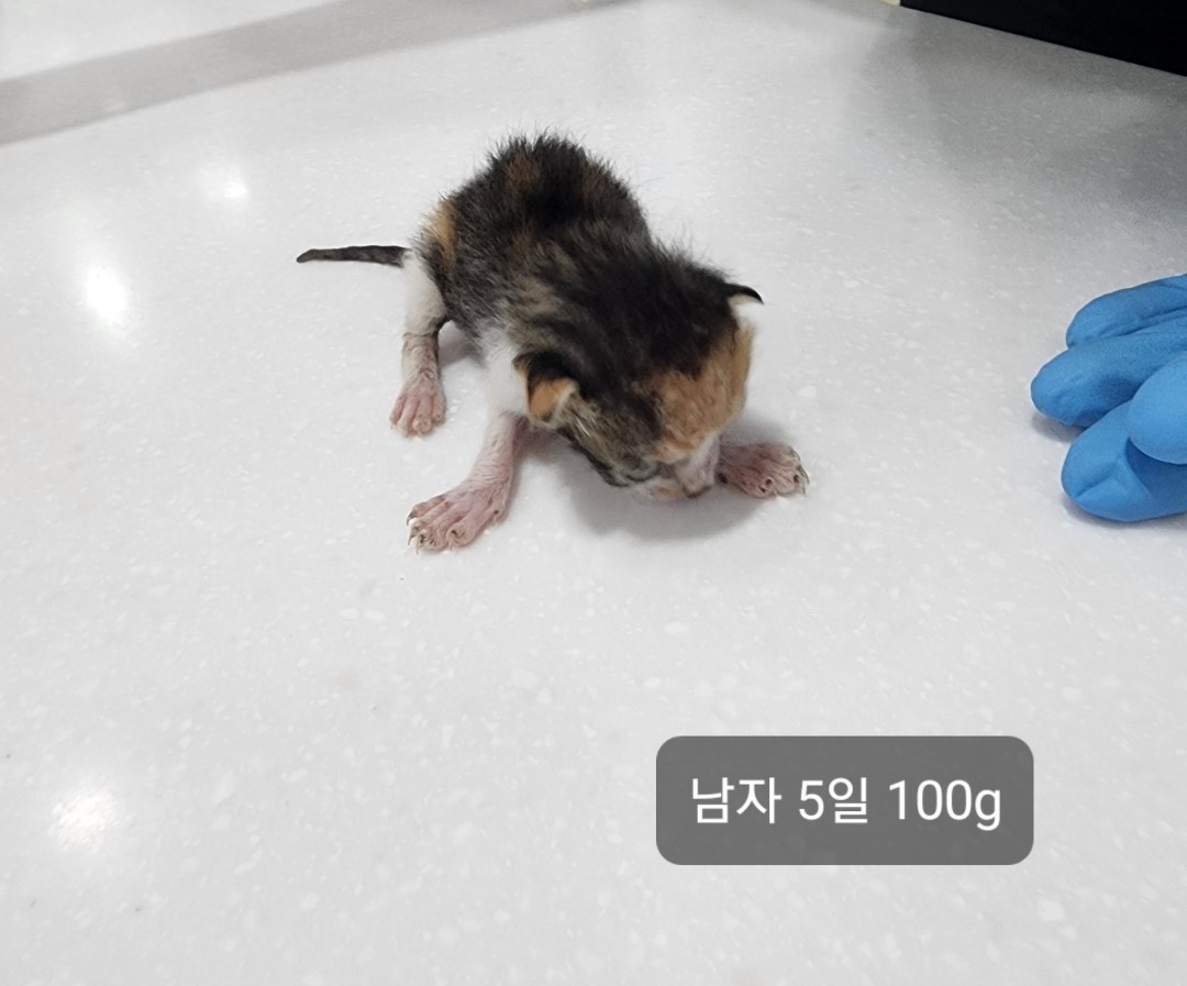 옥천동물병원_443443202400430