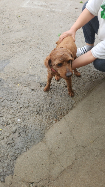 익산유기동물보호소_445468202401228