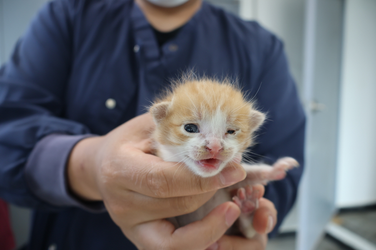 제주 동물보호센터_450650202401392