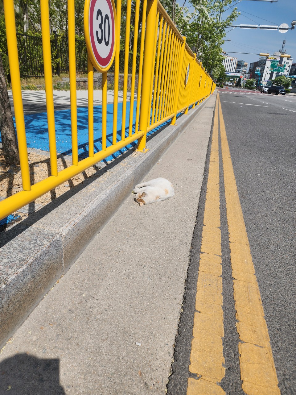 종료(자연사) 믹스…