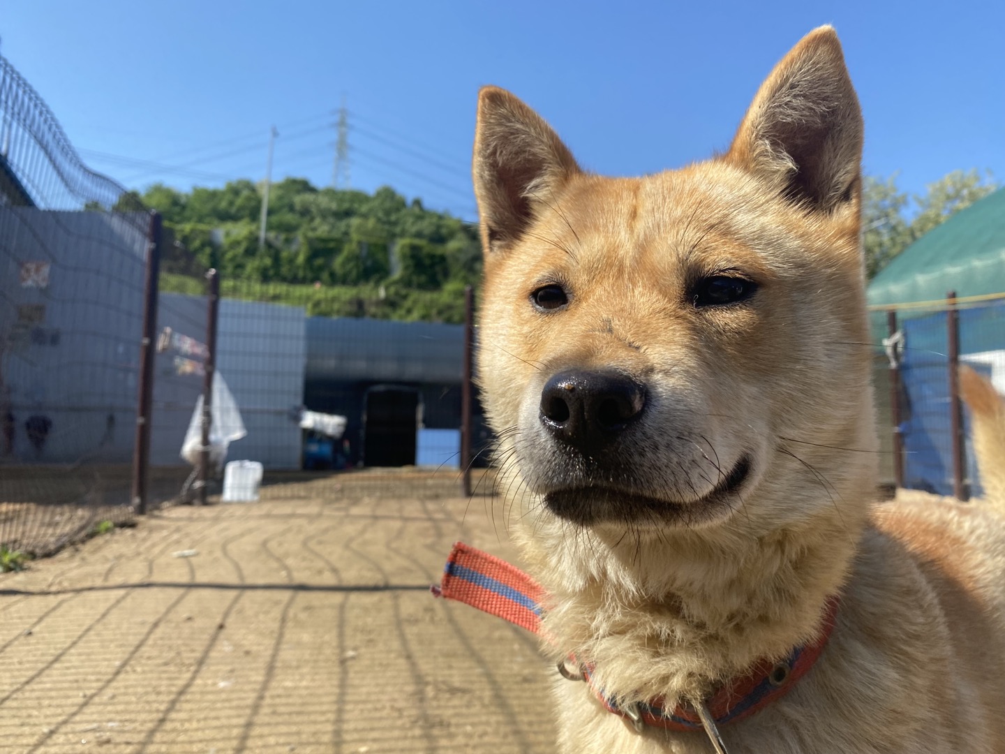 한국야생동물보호협회_441403202400164