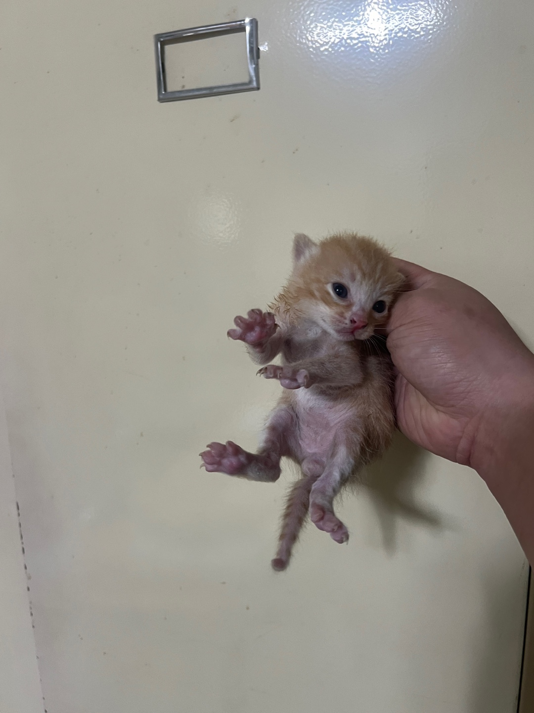 부산동물보호센터_426325202400082