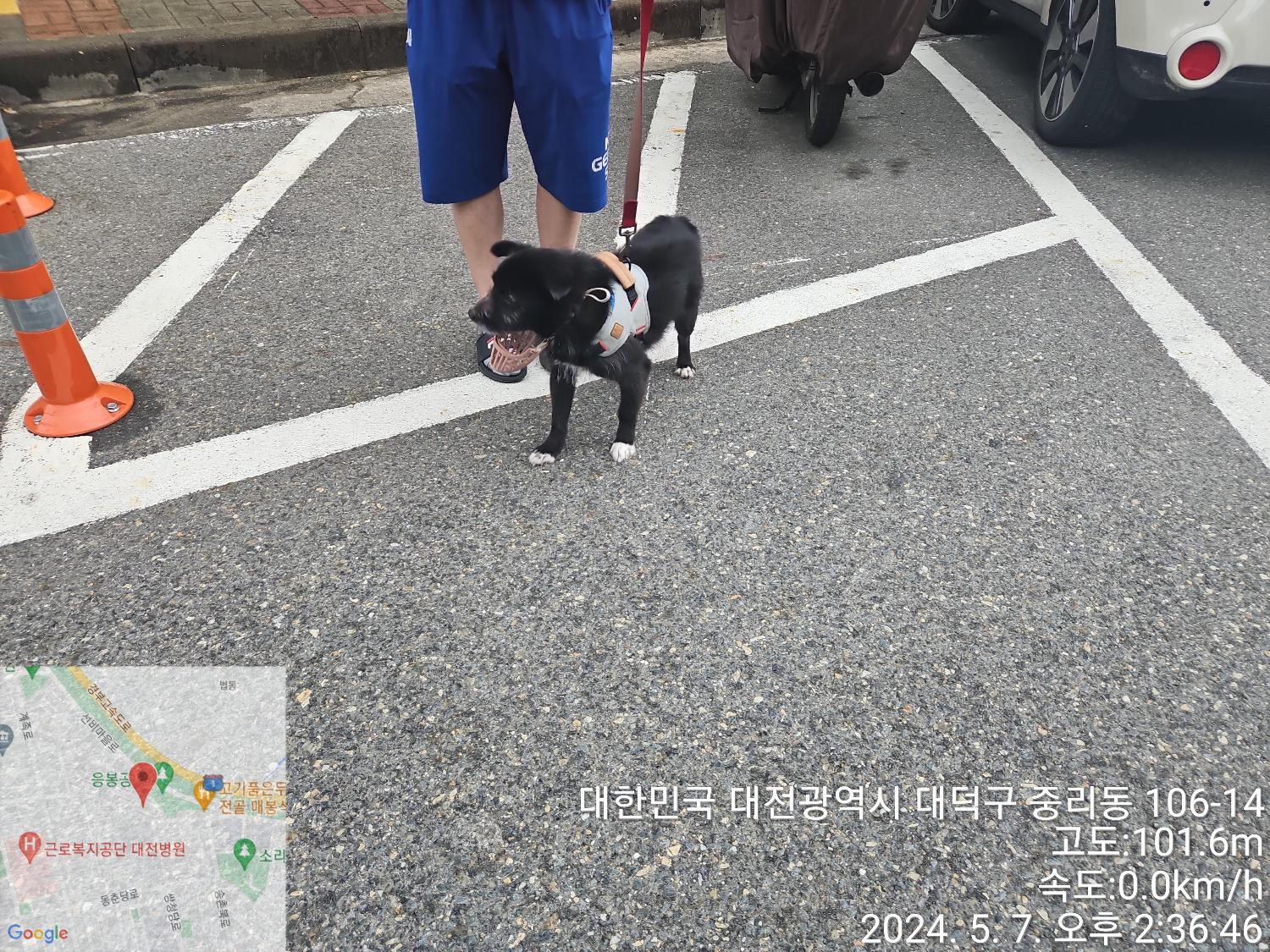 대전동물보호센터_430368202400199