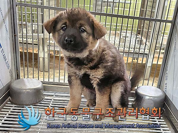 한국동물구조관리협회_441560202400494