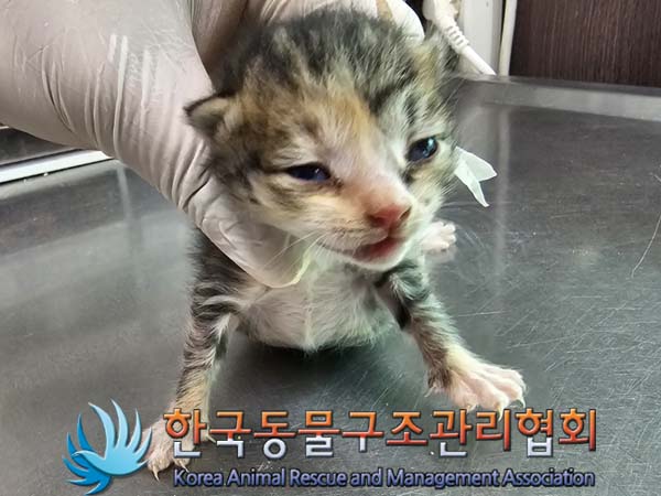 종료(자연사) 한국…