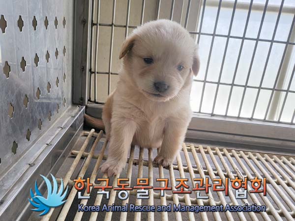 한국동물구조관리협회_441559202400508