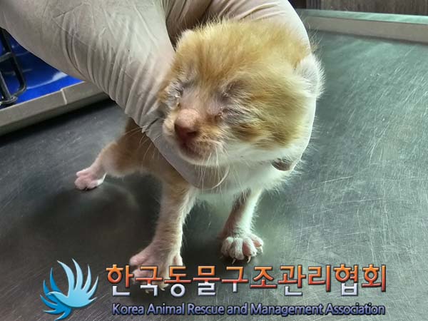 한국동물구조관리협회_441414202400311