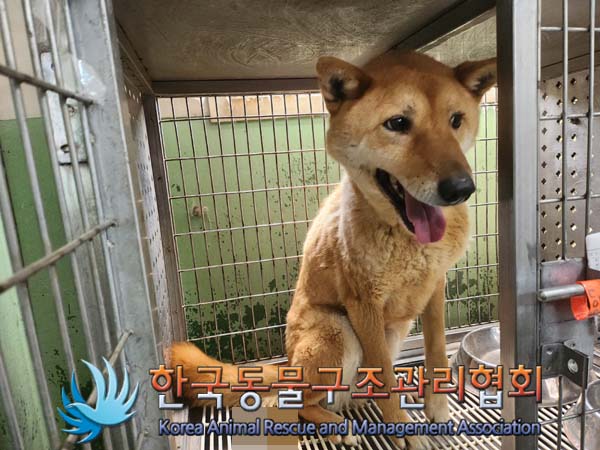 한국동물구조관리협회_441560202400500