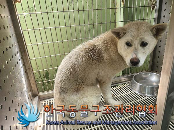 한국동물구조관리협회_441409202400631