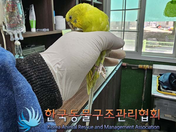 한국동물구조관리협회_441382202400383