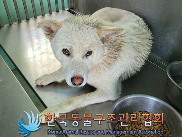 한국동물구조관리협회_441414202400316