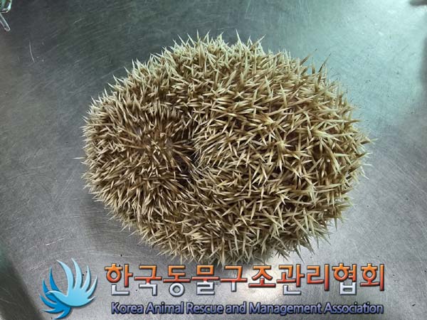 한국동물구조관리협회_411316202400227