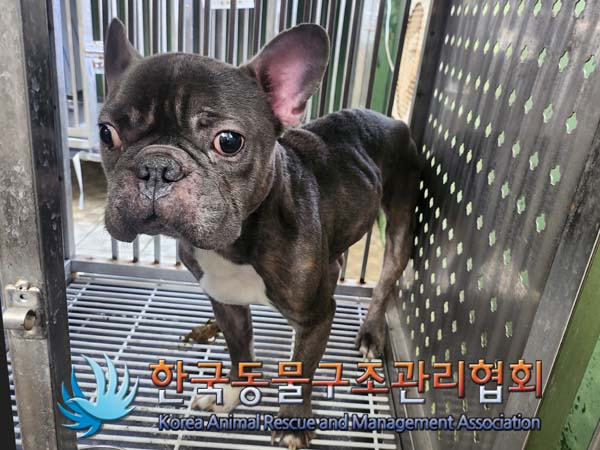 한국동물구조관리협회_411316202400226