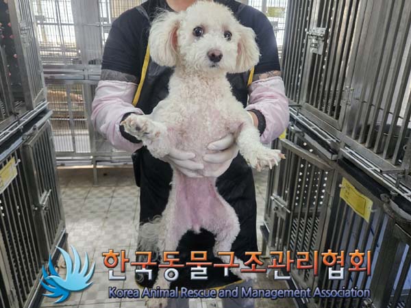 한국동물구조관리협회_411316202400228