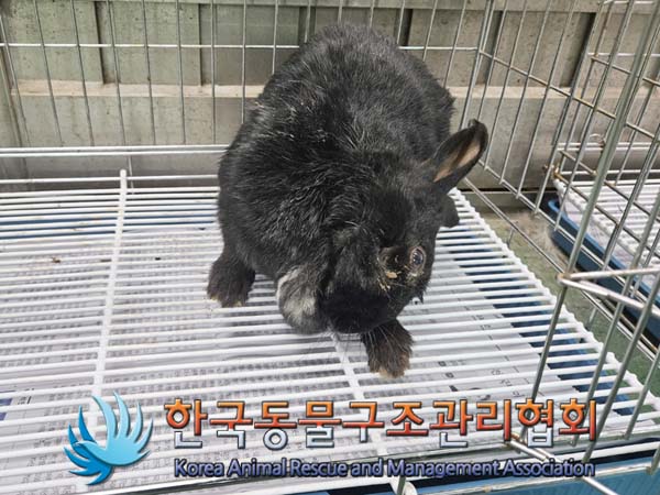 한국동물구조관리협회_441406202400765