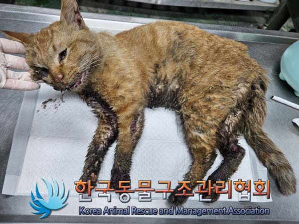 종료(자연사) 한국…