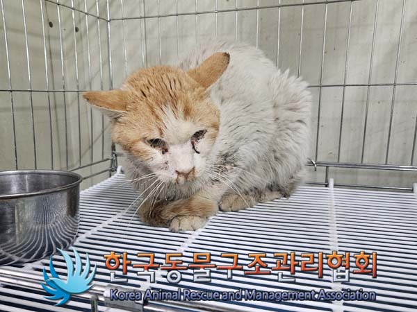 한국동물구조관리협회_441560202400502