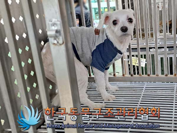 한국동물구조관리협회_411301202400158