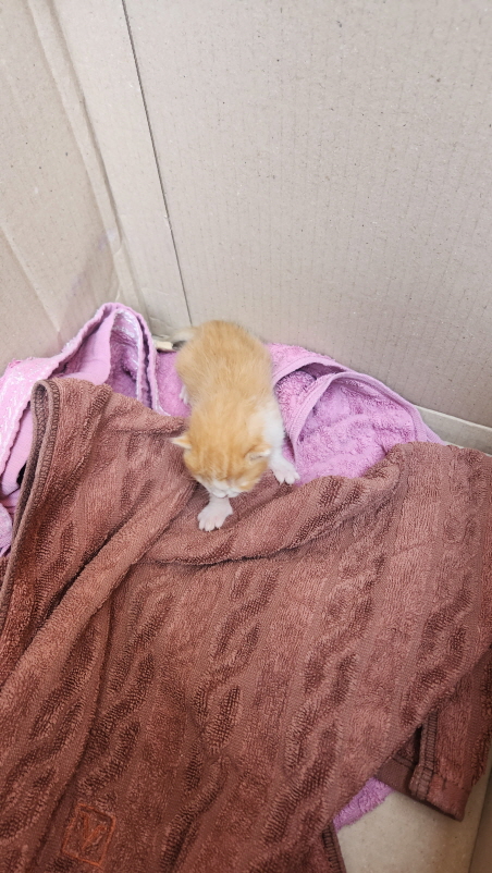 익산유기동물보호소_445468202401252