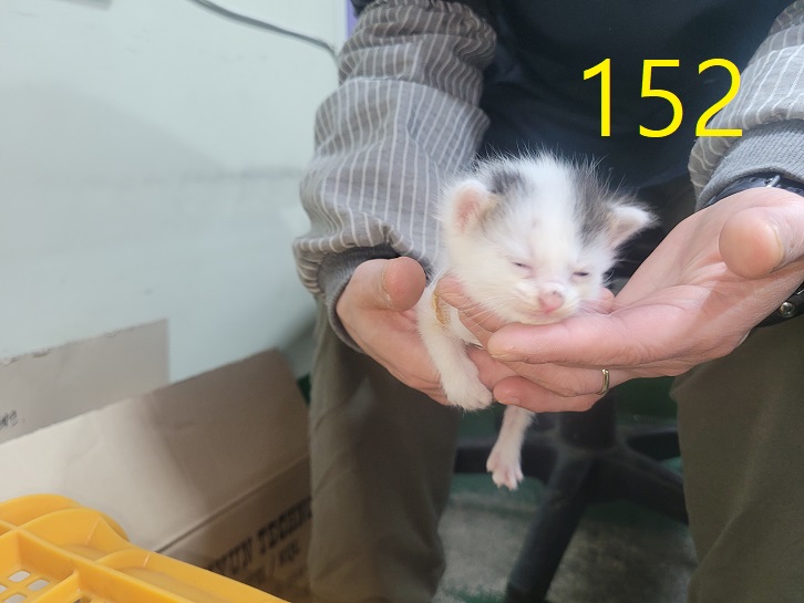 신영재동물병원_428355202400281