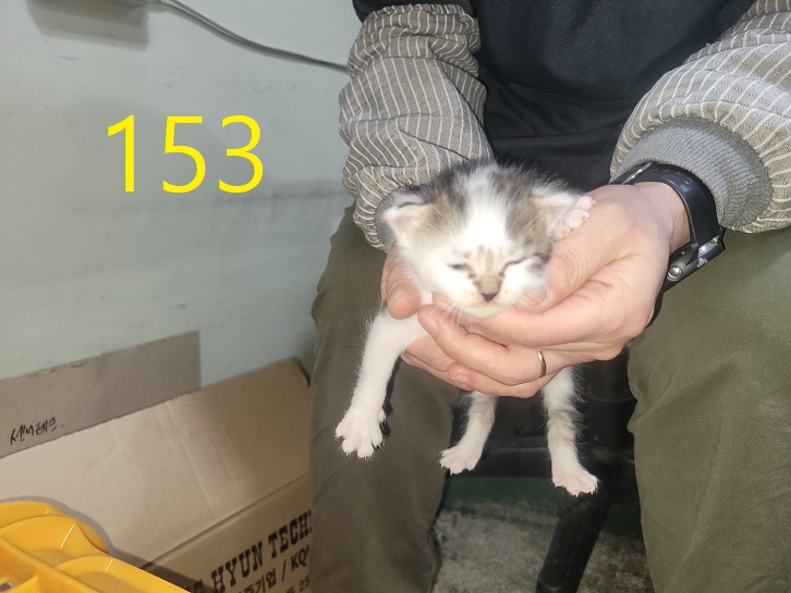 신영재동물병원_428355202400282