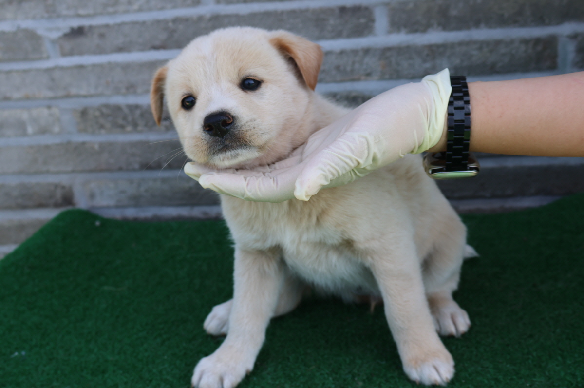 제주 동물보호센터_450650202401411