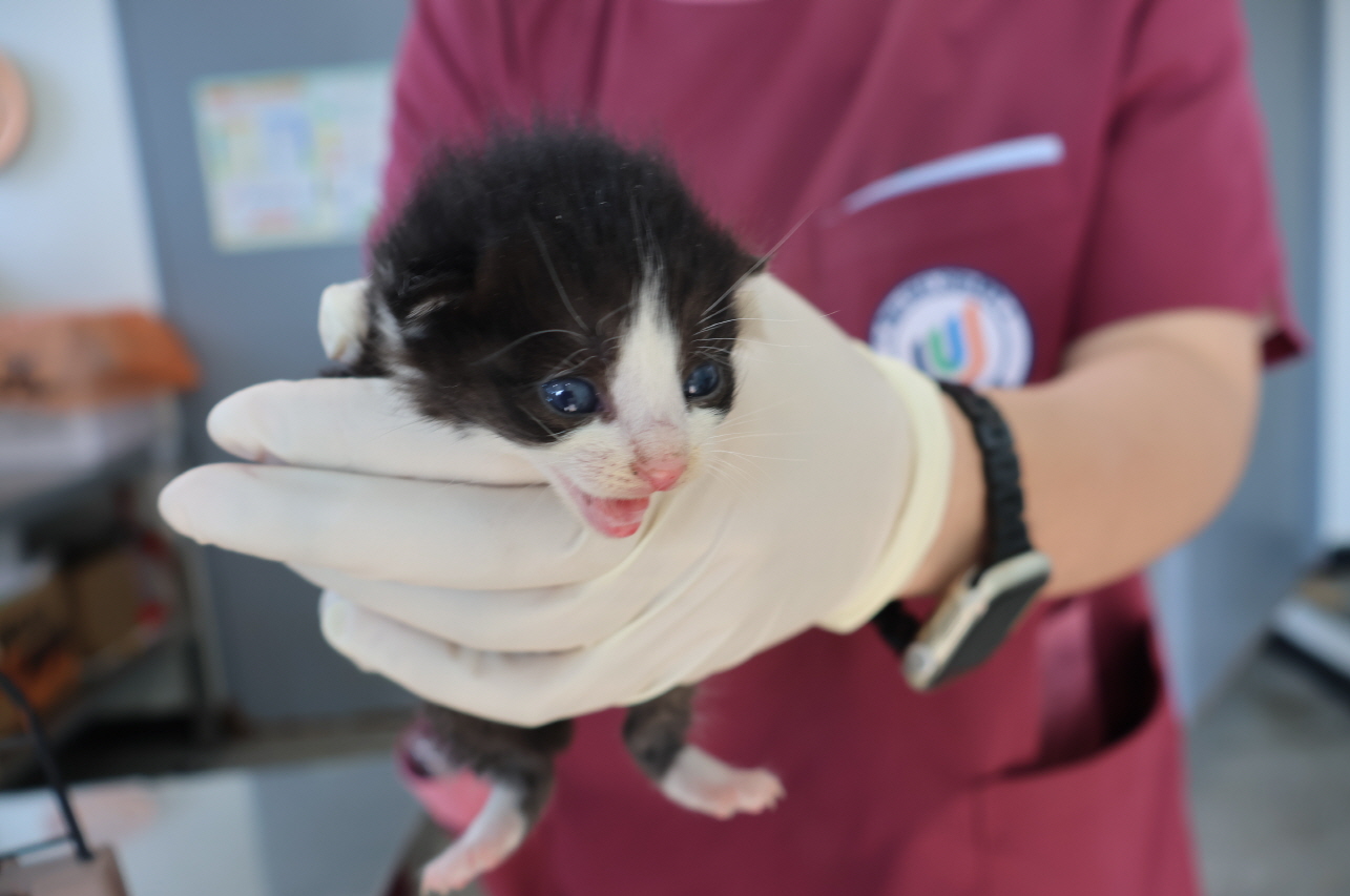 제주 동물보호센터_450650202401419