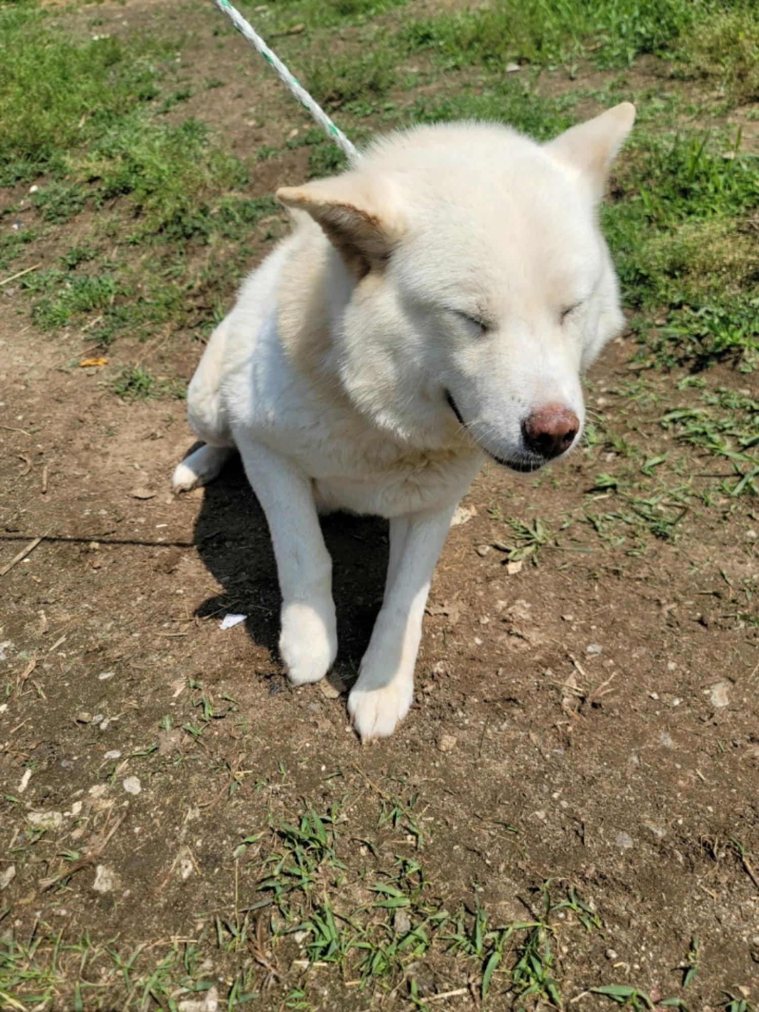 괴산증평동물보호센터_443446202400284